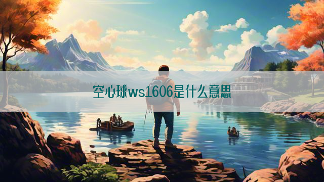 空心球ws1606是什么意思