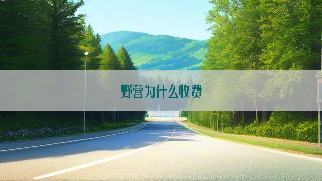 野营为什么收费