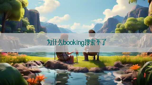 为什么booking搜索不了