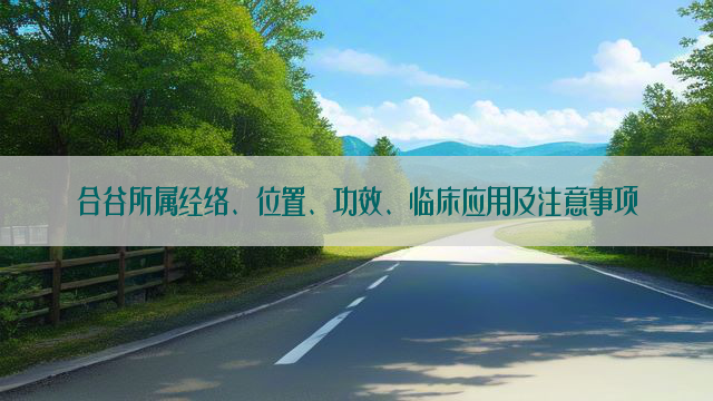 合谷所属经络、位置、功效、临床应用及注意事项